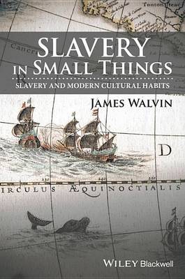 Book cover for Slavery in Small Things