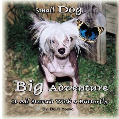 Book cover for Small Dog - Big Adventure