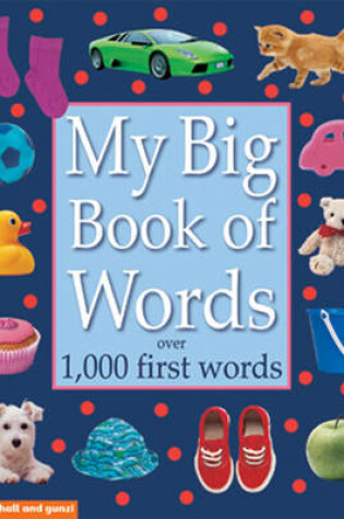 Cover of My Big Book of Words