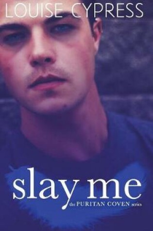Cover of Slay Me