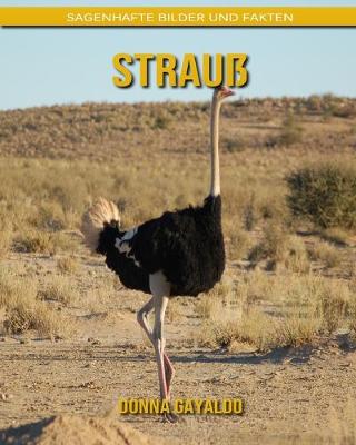 Book cover for Strauß