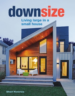 Book cover for Downsize