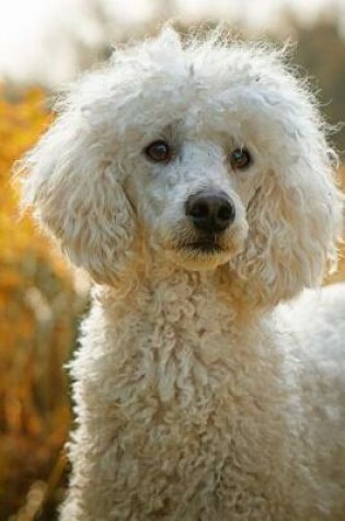 Cover of White Poodle Dog Portrait Journal