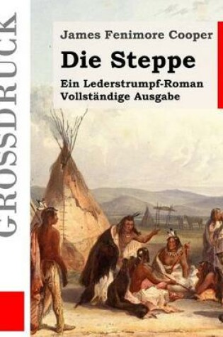 Cover of Die Steppe (Gro�druck)