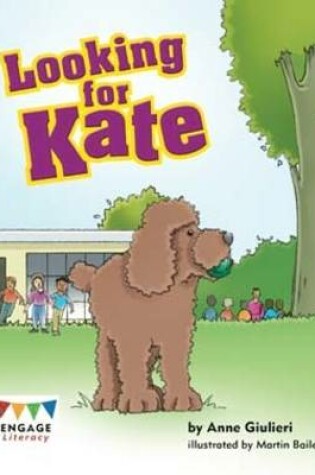 Cover of Looking for Kate Pack of 6