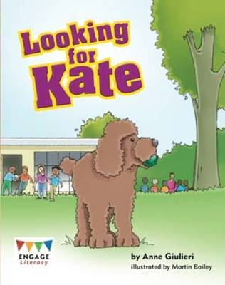 Book cover for Looking for Kate Pack of 6