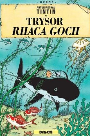 Cover of Cyfres Anturiaethau Tintin: Trysor Rhaca Goch