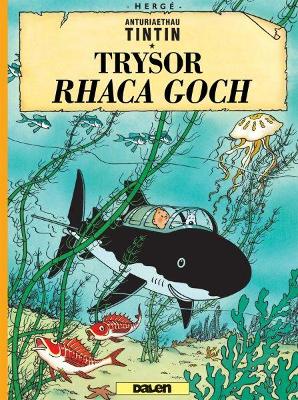 Book cover for Cyfres Anturiaethau Tintin: Trysor Rhaca Goch