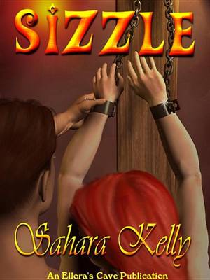 Book cover for Sizzle