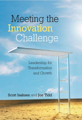 Book cover for Meeting the Innovation Challenge