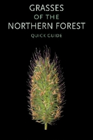 Cover of Grasses of the Northern Forest