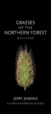 Book cover for Grasses of the Northern Forest