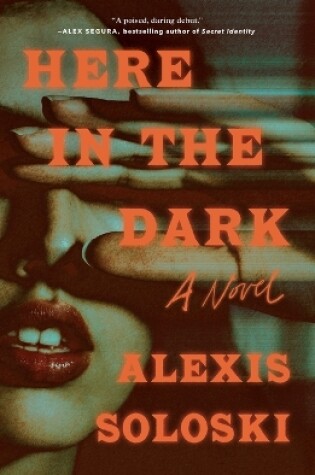 Cover of Here in the Dark