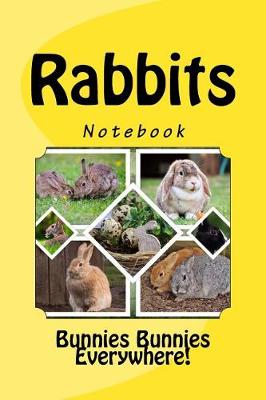 Book cover for Rabbits