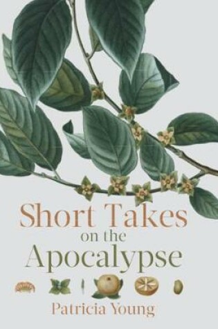 Cover of Short Takes on the Apocalypse