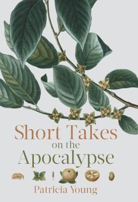 Book cover for Short Takes on the Apocalypse