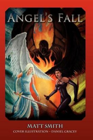 Cover of Angel's Fall