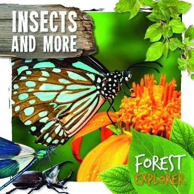 Book cover for Insects and More
