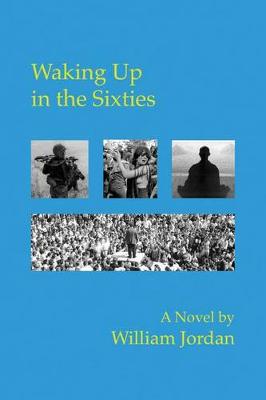 Book cover for Waking Up in the Sixties