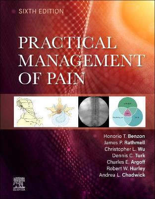 Book cover for Practical Management of Pain E-Book