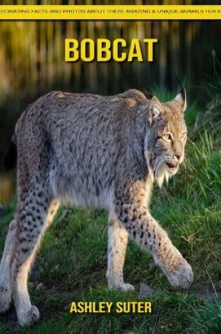 Cover of Bobcat