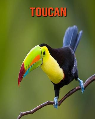 Book cover for Toucan