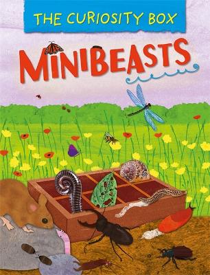 Cover of The Curiosity Box: Minibeasts