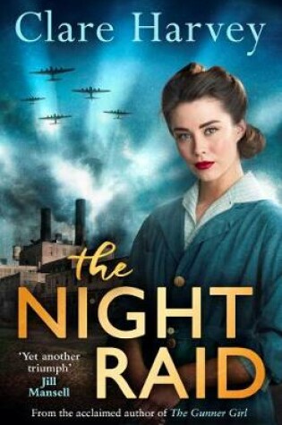 Cover of The Night Raid