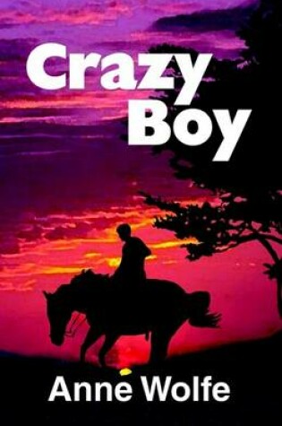 Cover of Crazy Boy
