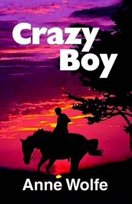 Book cover for Crazy Boy