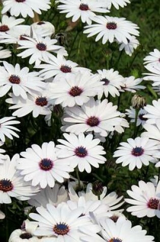 Cover of A Cluster of Beautiful White African Daisies, for the Love of Flowers