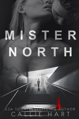 Book cover for Mr. North