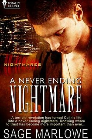 Cover of A Never Ending Nightmare