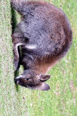 Book cover for Wallaby Hopping on the Grass Journal