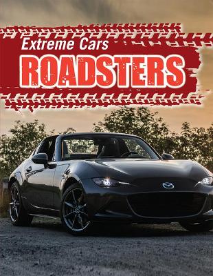 Book cover for Roadsters