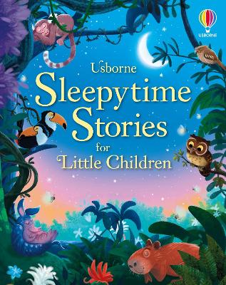 Book cover for Sleepytime Stories for Little Children