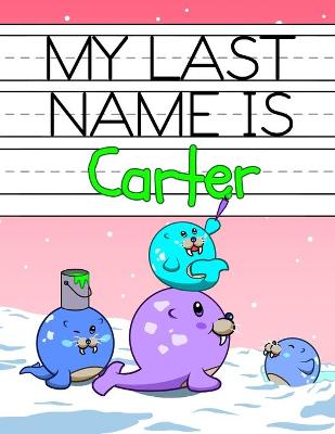 Book cover for My Last Name is Carter