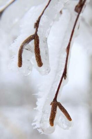 Cover of Frozen Birch Tree Branches (for the Love of Nature)