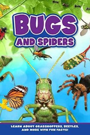 Cover of Bugs and Spiders