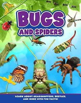 Book cover for Bugs and Spiders