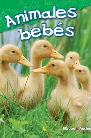 Cover of Animales bebés