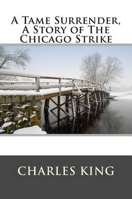 Book cover for A Tame Surrender, a Story of the Chicago Strike