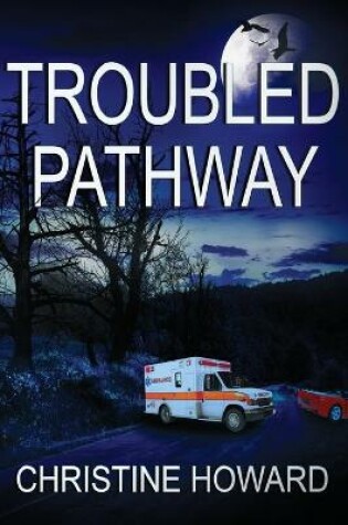 Cover of Troubled Pathway