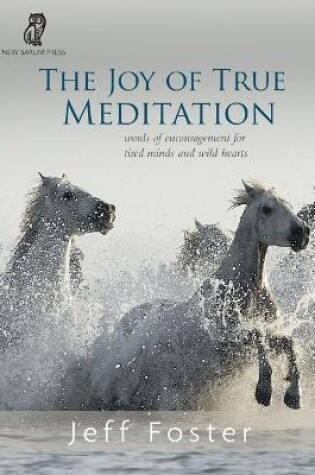 Cover of The joy of True Meditation