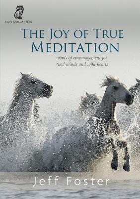 Book cover for The joy of True Meditation