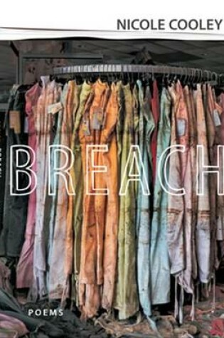 Cover of Breach