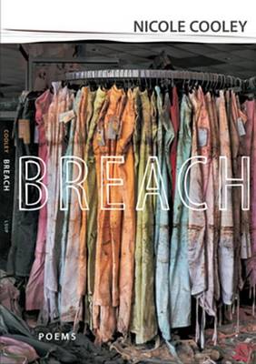 Book cover for Breach