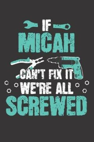 Cover of If MICAH Can't Fix It