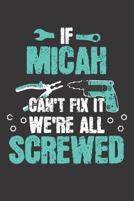 Book cover for If MICAH Can't Fix It