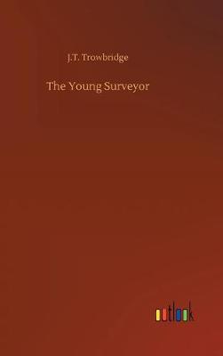 Book cover for The Young Surveyor